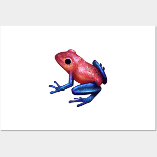 Cozy Strawberry Poison Dart Frog Posters and Art